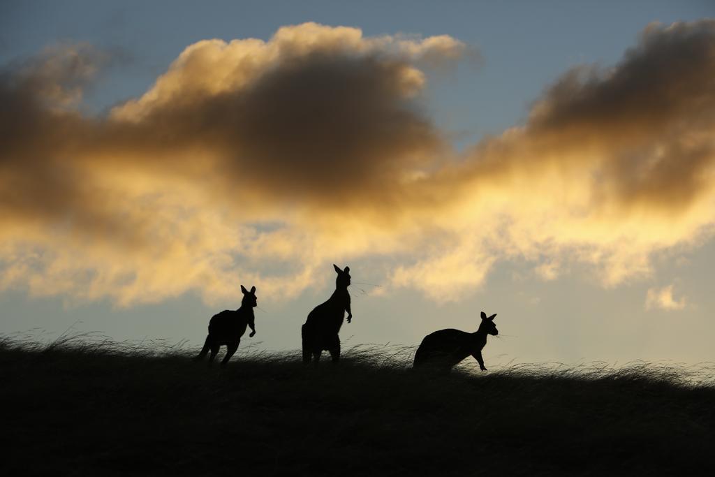 Sky House Kangaroo Island Stokes Bay Exterior foto